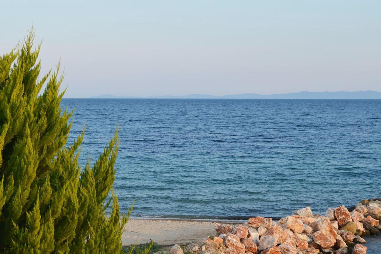 Lemon Beach Front Apartment, Nikiti Екстер'єр фото